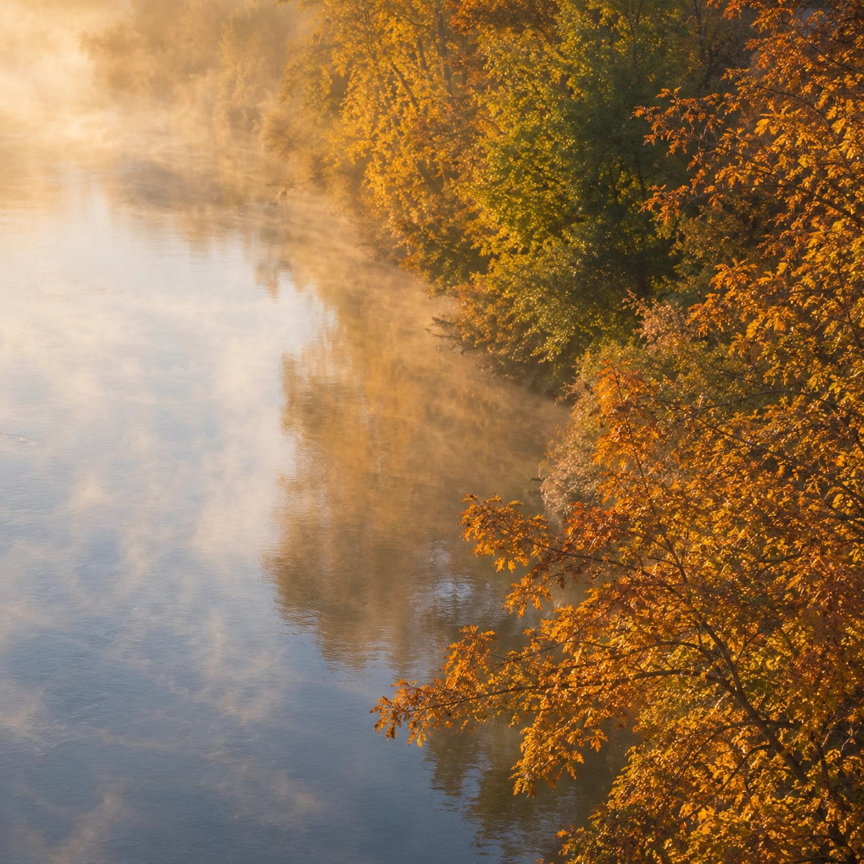 Editorial photograph of soft morning light over the Willamette in Albany with autumn trees on the bank.